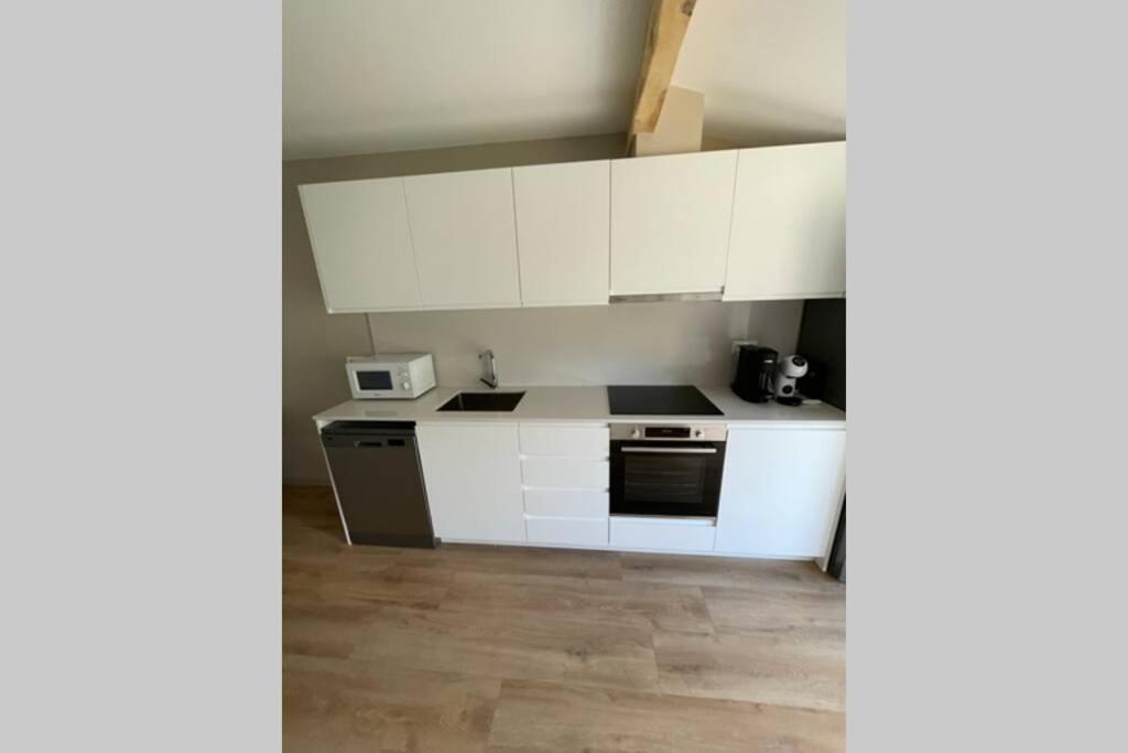 Апартаменти New Construction Penthouse With Pool And Wifi Оссежа Екстер'єр фото